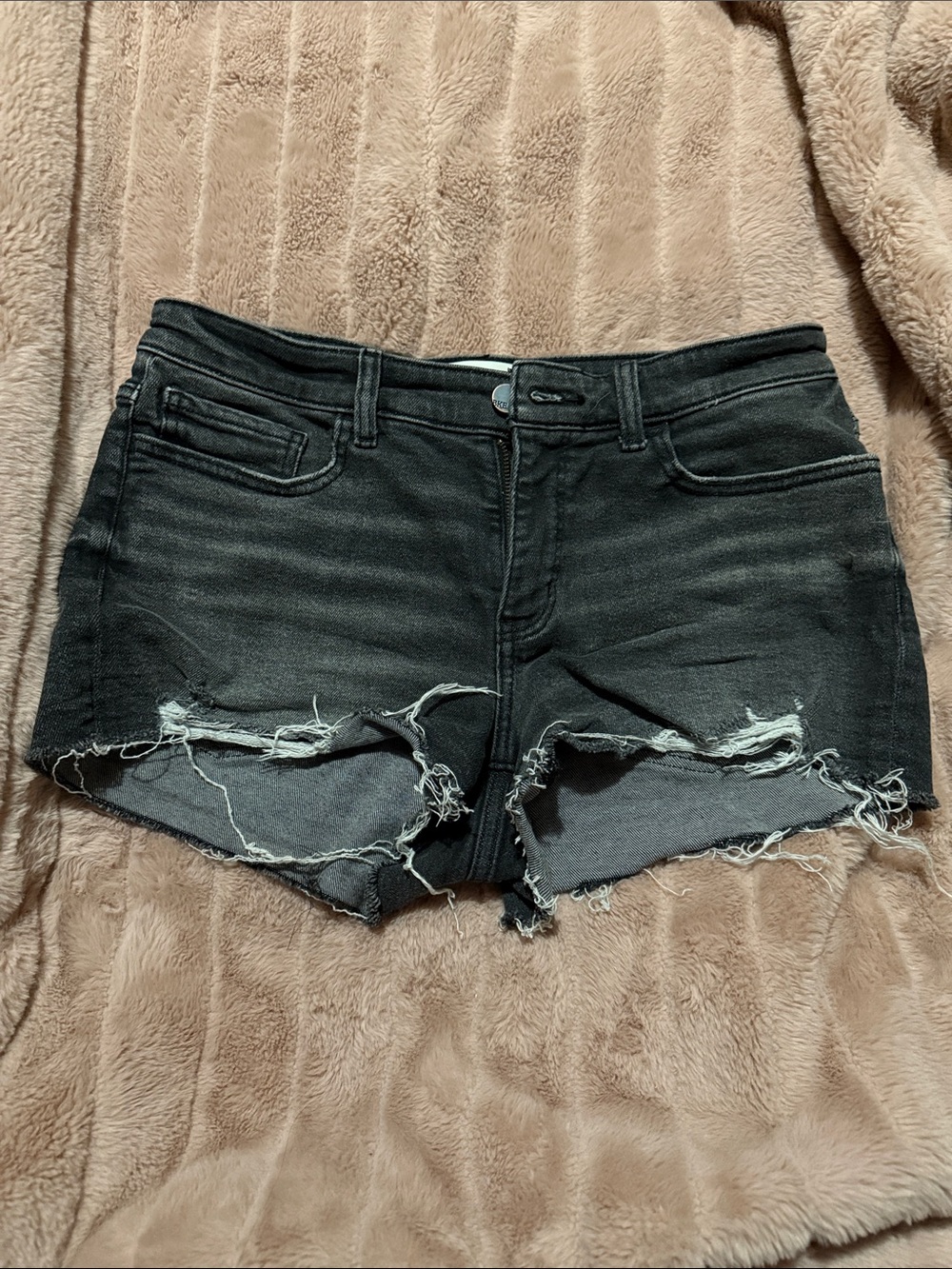 BKE Black Distressed Denim Cutoff Shorts